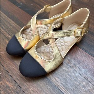 Sam Edelman Roxie Metallic Mary Jane Flats